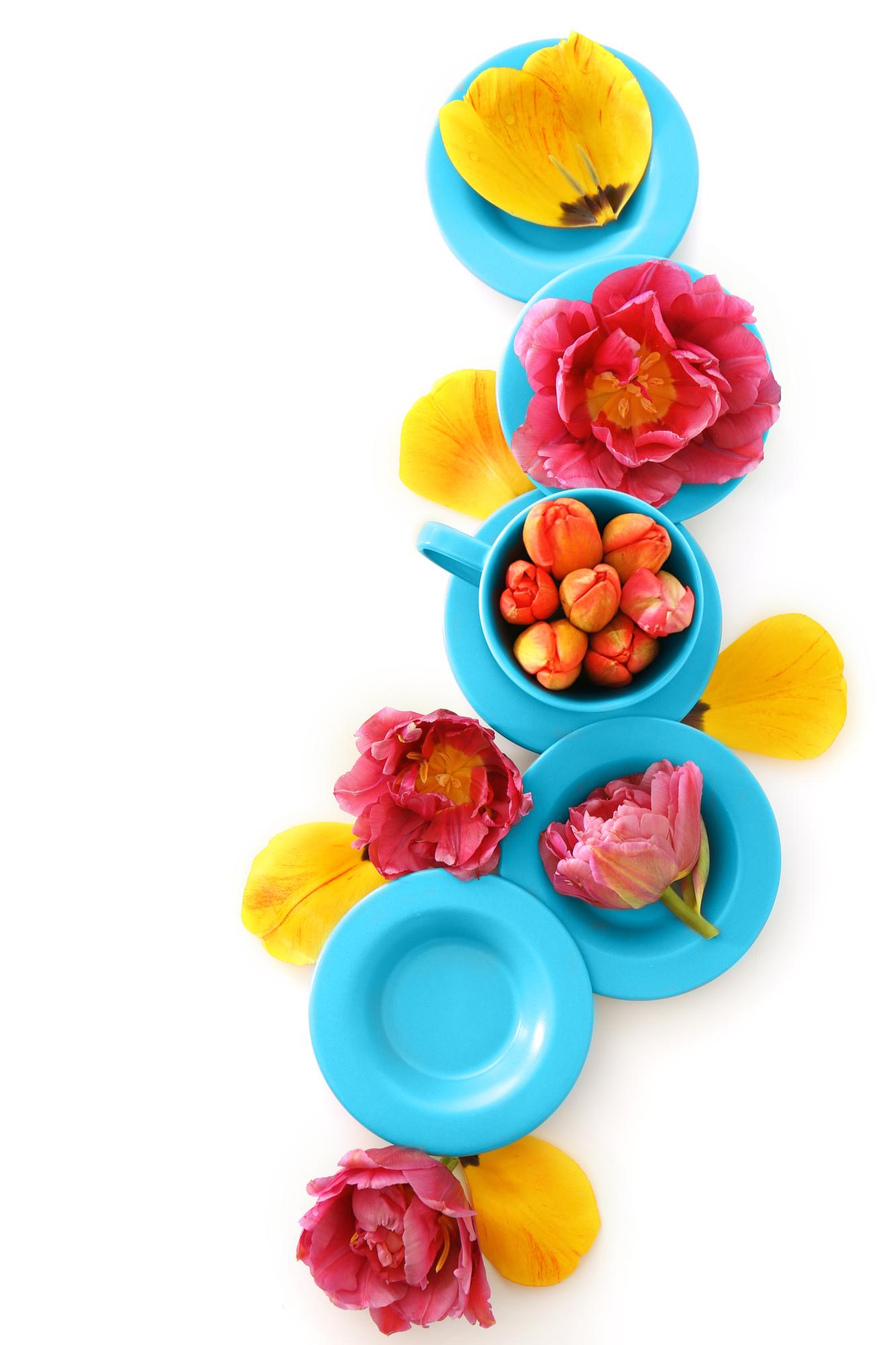Overlapping plates with colorful appetizers